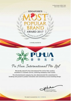 Most Popular Brand